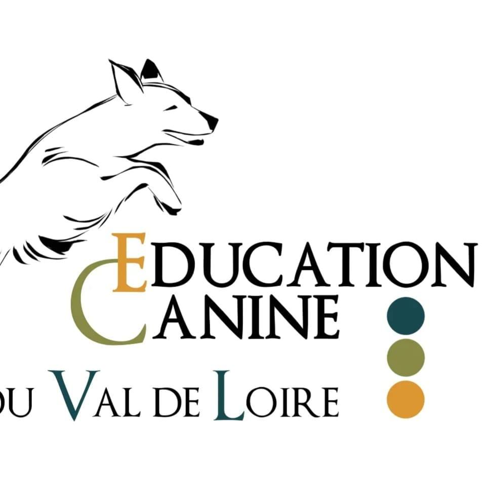 Education Canine Du Val De Loire Education Canine Blois New Logo ECVL 1