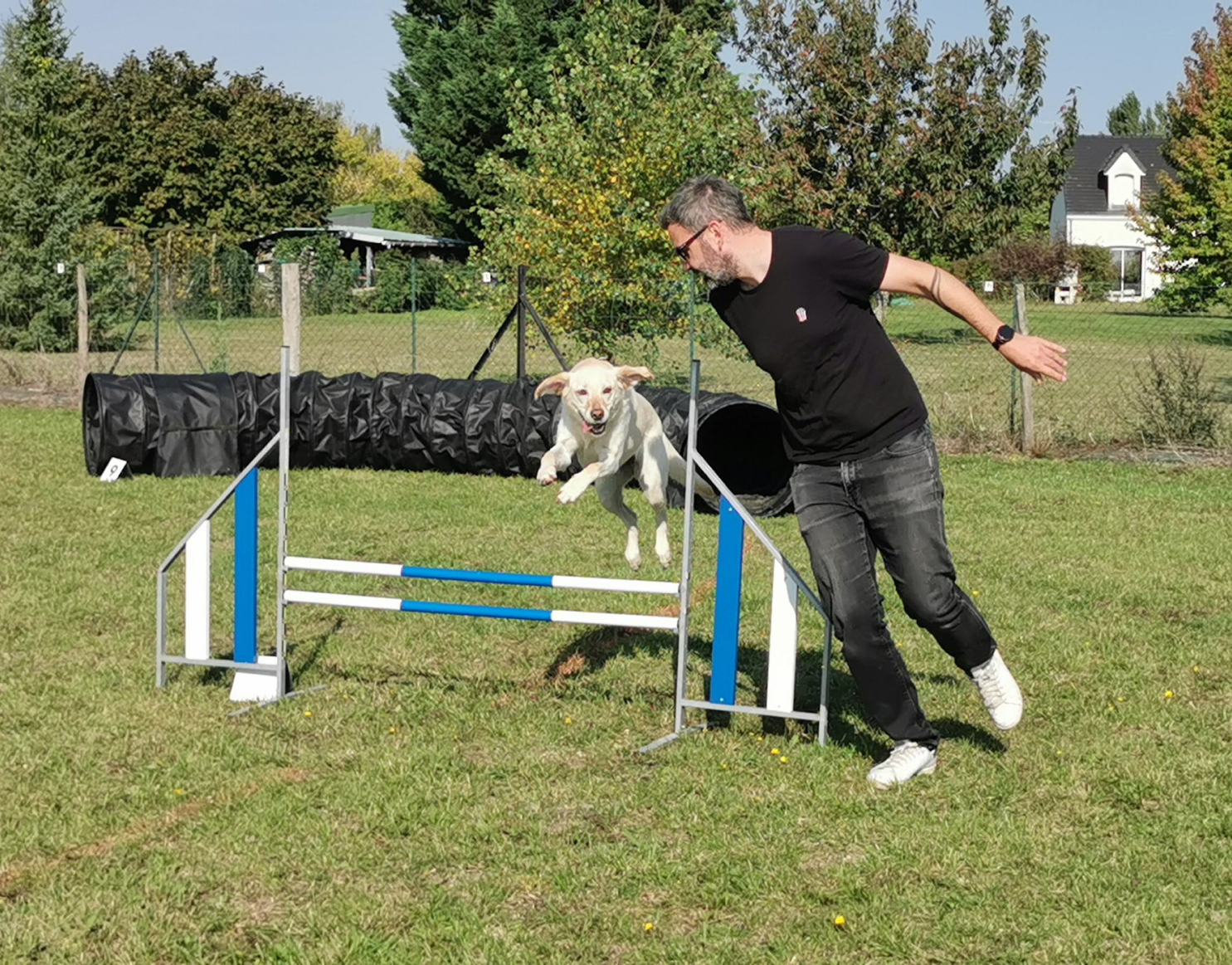 Education Canine Du Val De Loire Education Canine Blois Agility